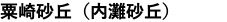 粟崎砂丘（内灘砂丘）